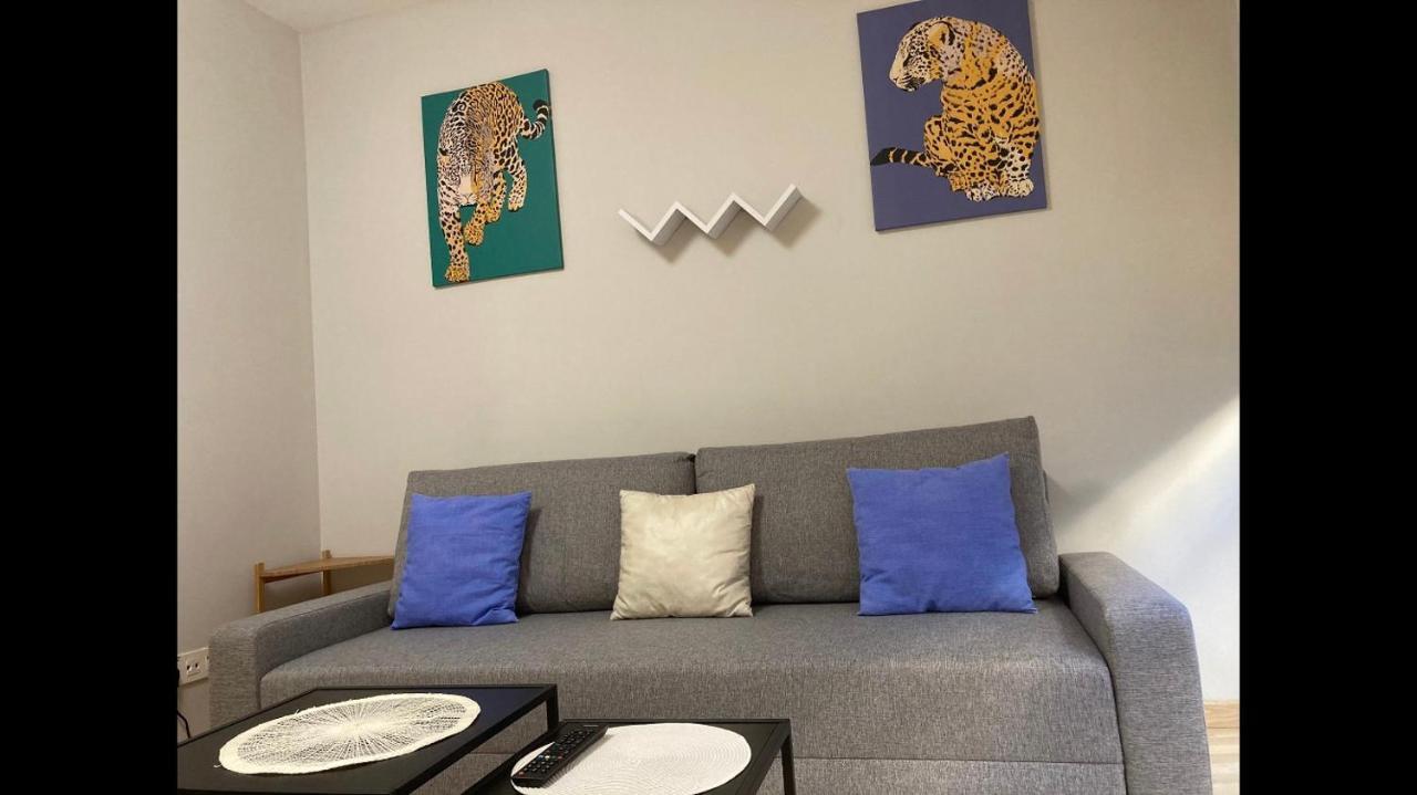 New Studio Sito 6 Parking Gratis Salamanca Luaran gambar
